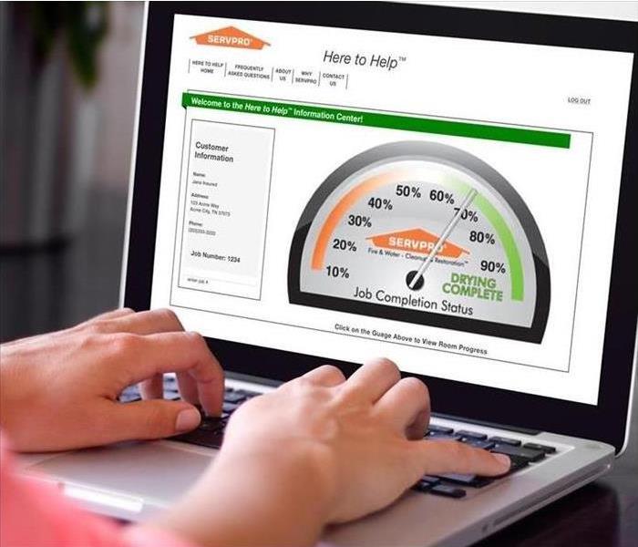 Image of person working on a laptop with SERVPRO Drybook on the screen