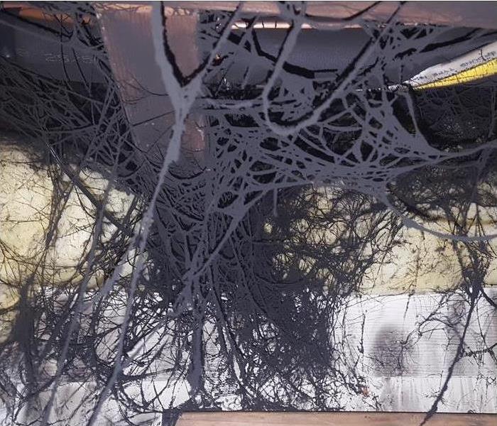 Soot webbing caused from fire damage.